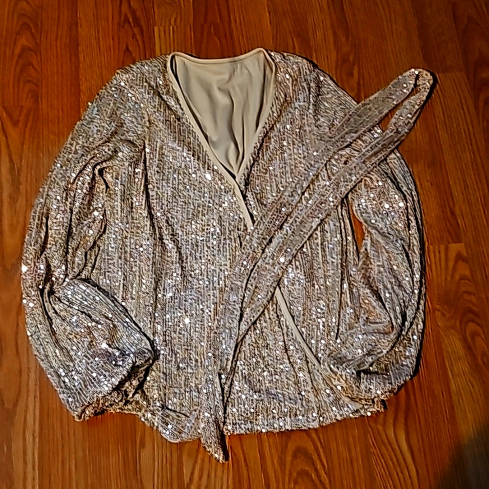 Sequin Blouse - image 1